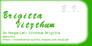brigitta vitzthum business card